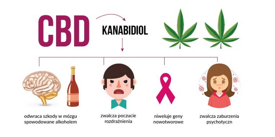 Co to jest CBD (kannabidiol)?