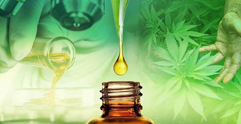 Co to jest olej CBD? Co to jest olej CBD?
