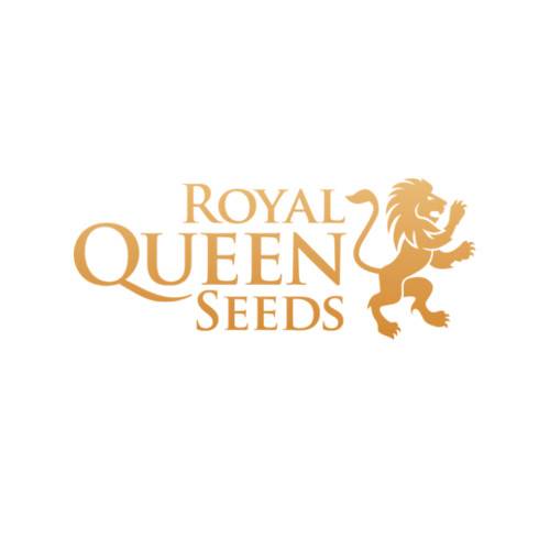 Royal Queen Seeds