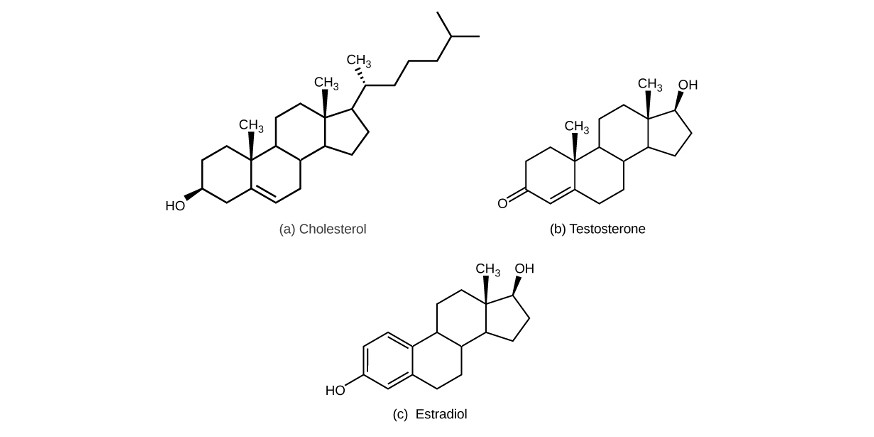 Olejek CBD a regulacja hormonalna